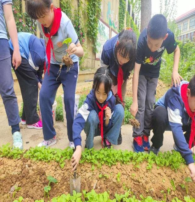 20240509劳动砺心智，实践促成长(1)_html_2928278a.jpg