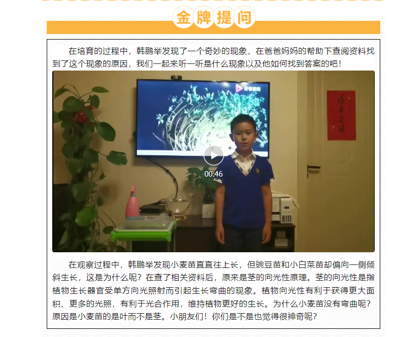 20240508徐书颜 吕明轩 李鸿涛-关于小麦胚芽鞘向光性的实验研究(1)_html_m2f7f6b8.png