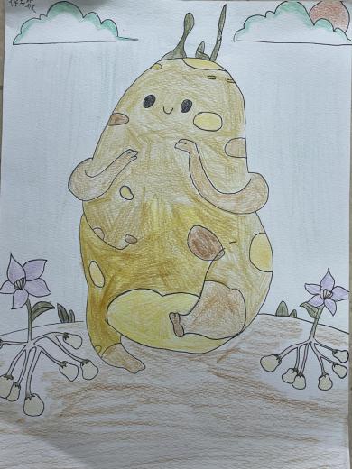 三5班土豆新闻稿 “小小土豆大变身，巧手陶娃展厨艺”_html_27bc3c3c.jpg