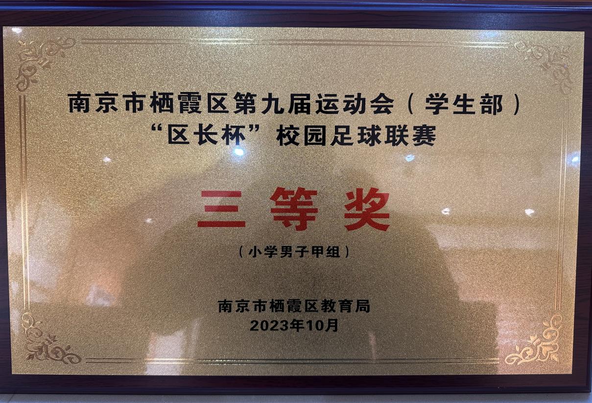 20240707南京市晓庄 小学2023-2024学年体育工作喜获佳绩(2)(1)_html_bce0874.jpg
