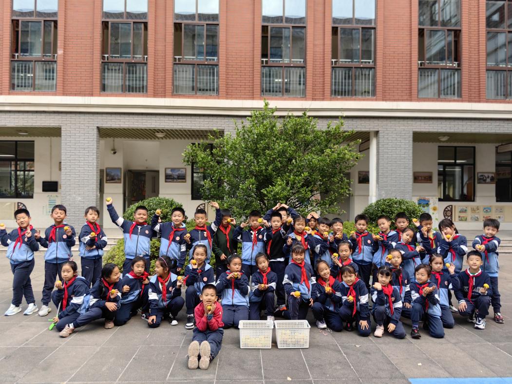 【知行晓庄】橘子满枝头 劳动乐心间——南京市晓庄小学（行知校区）小农场劳动实践系列课程