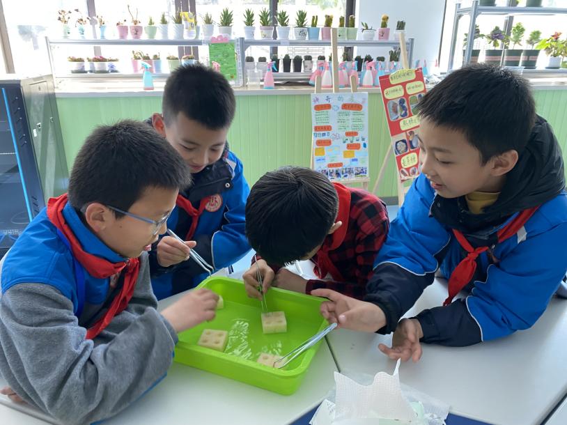 陶心书社第90期_html_m6a282a7d.jpg