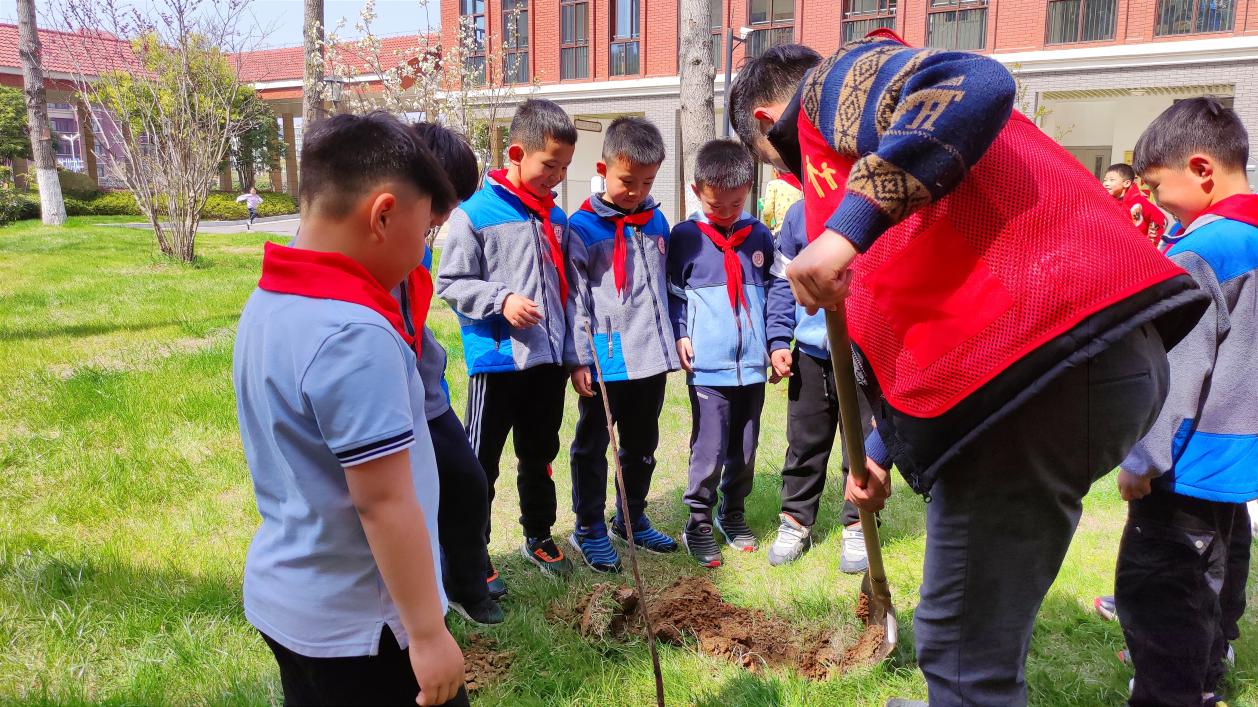 【知行晓庄】 又是一年春光好，植树添绿正当时——晓庄小学二（5）班植树节活动小记