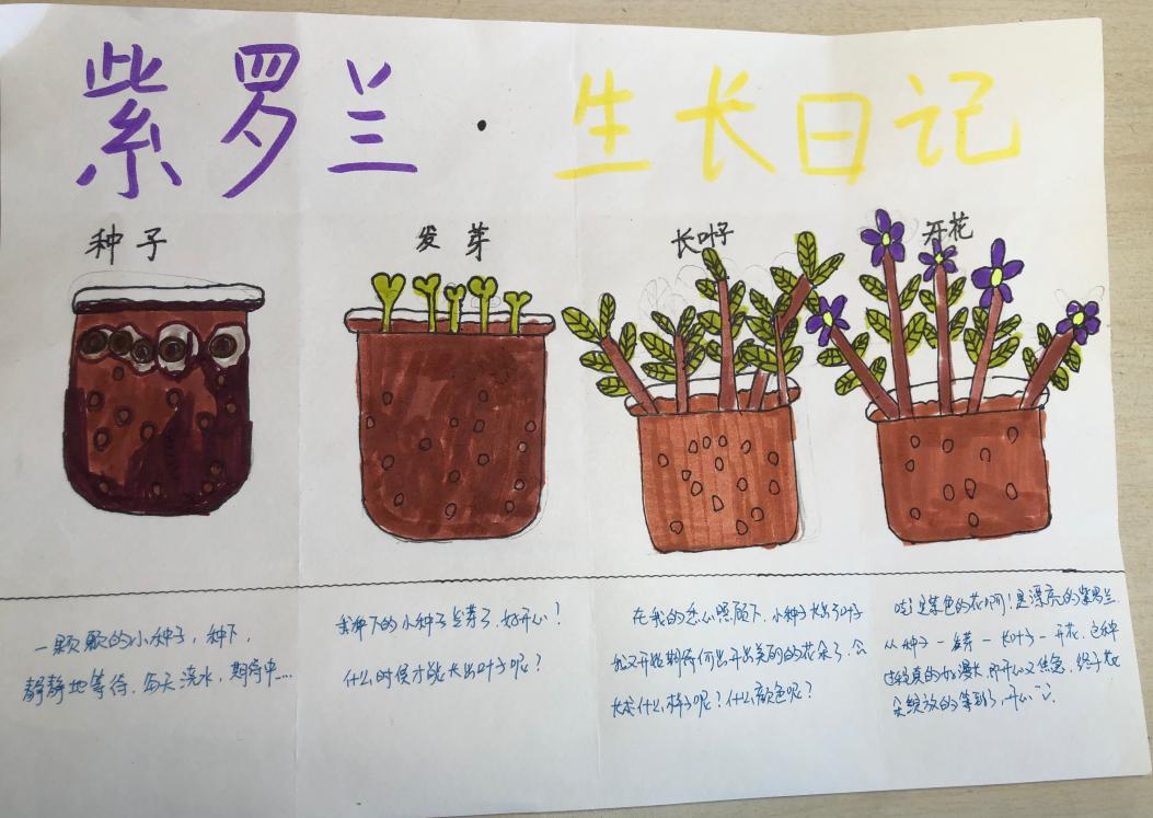 一五“种子” 长程作业(1)_html_300f4376.jpg