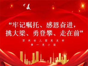 【灵动西幼】西岗幼儿园党支部开展主题学习研讨 