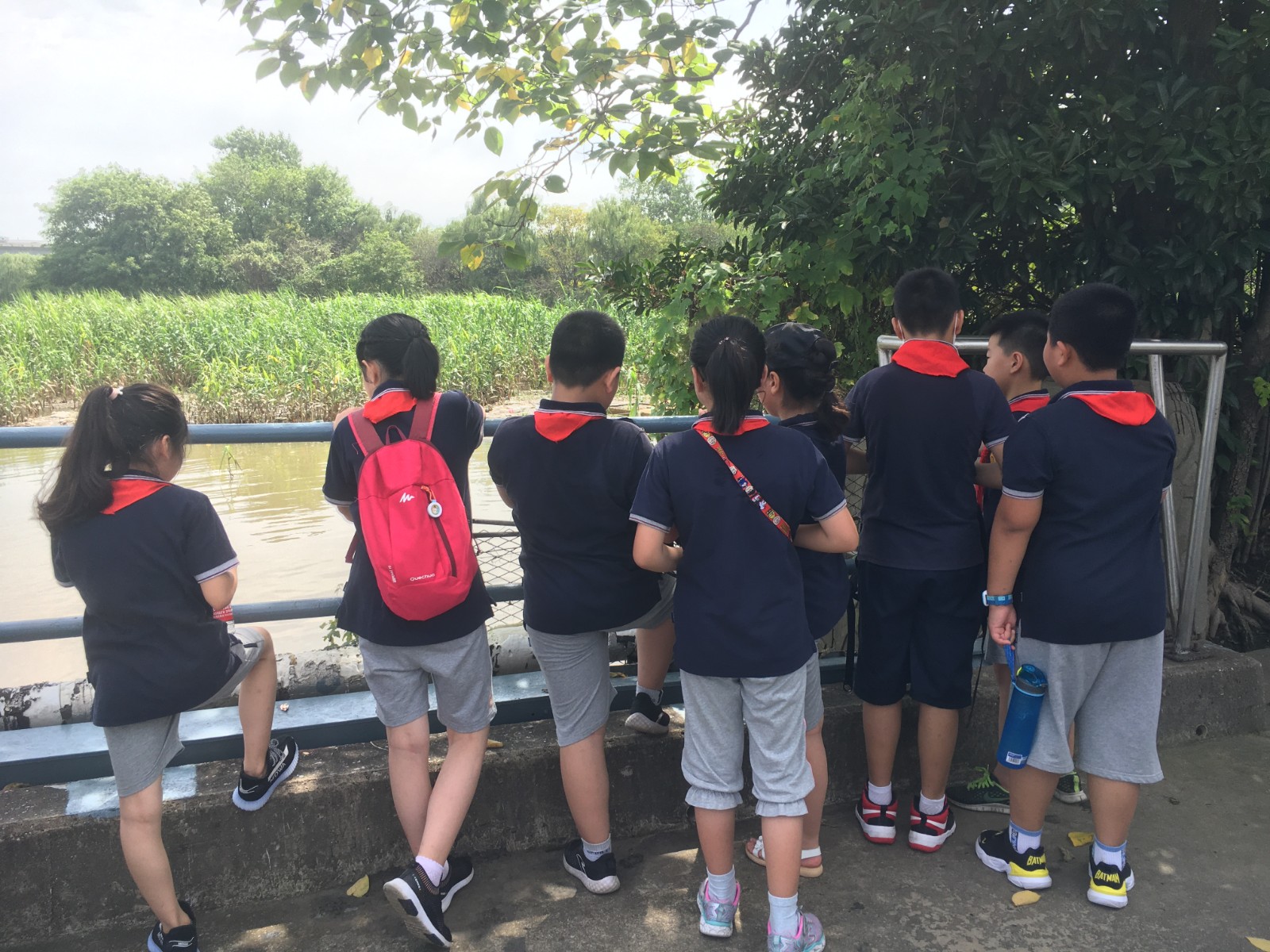 图五.JPG