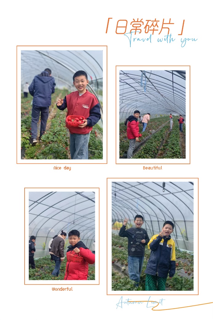 四（2）班春日农场研学，萌娃乐翻天_html_37a20b44.jpg