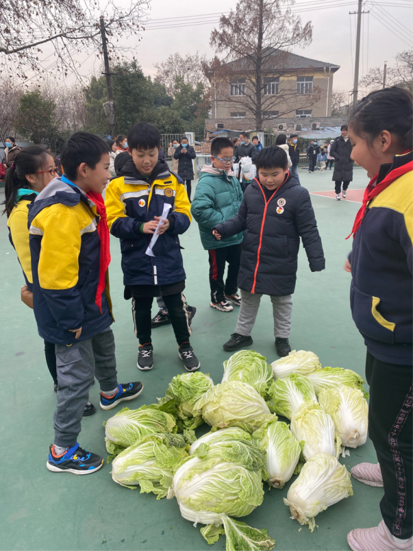 蔬菜有价，爱心无价           ——记陶娃义卖大白菜活动(1)_html_m51cb5c93.png