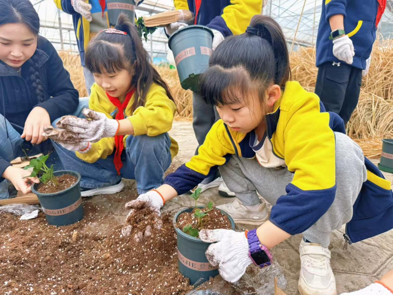 赴一场田园之约，做快乐小农夫——晓院附小三（2）班农耕体验活动2025.10(1)_html_m74434869.jpg