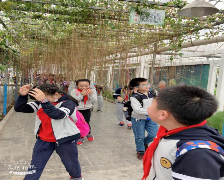 记一次快乐的秋游_html_4cac1a31.jpg