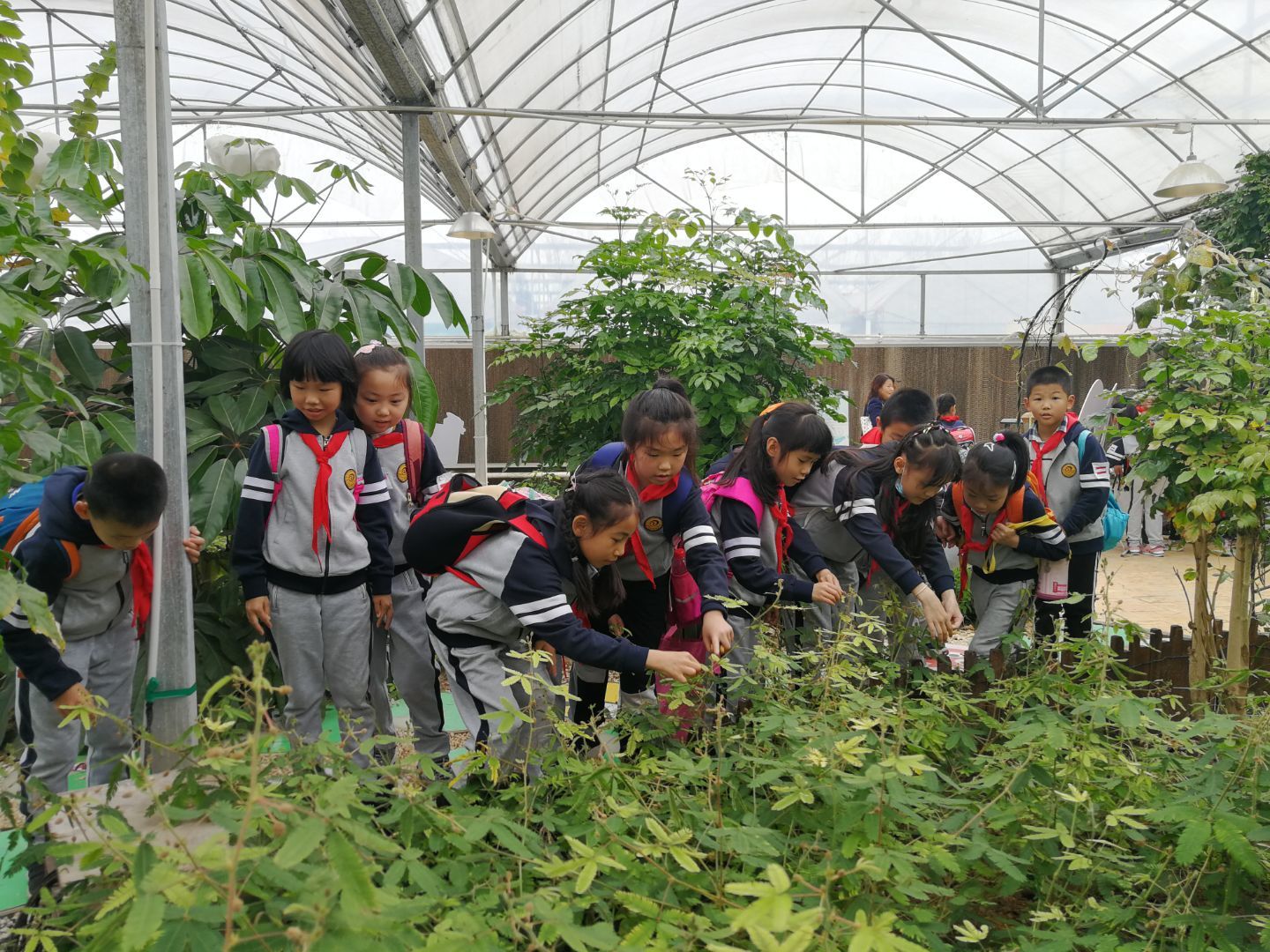 秋游_html_m63f4e628.jpg