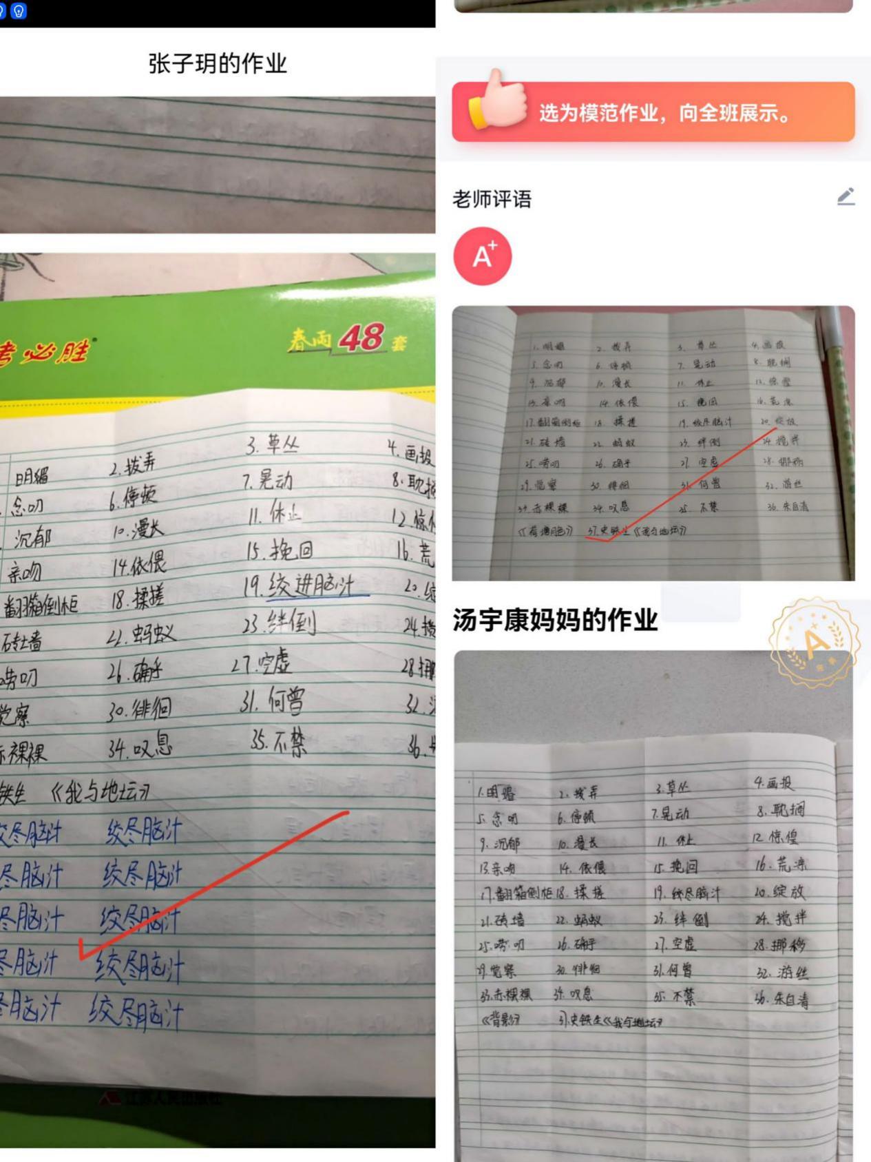 【丁香汉声】倾听花开的声音——丁小线上学习第一周语文学科反馈_html_m242b1faf.jpg