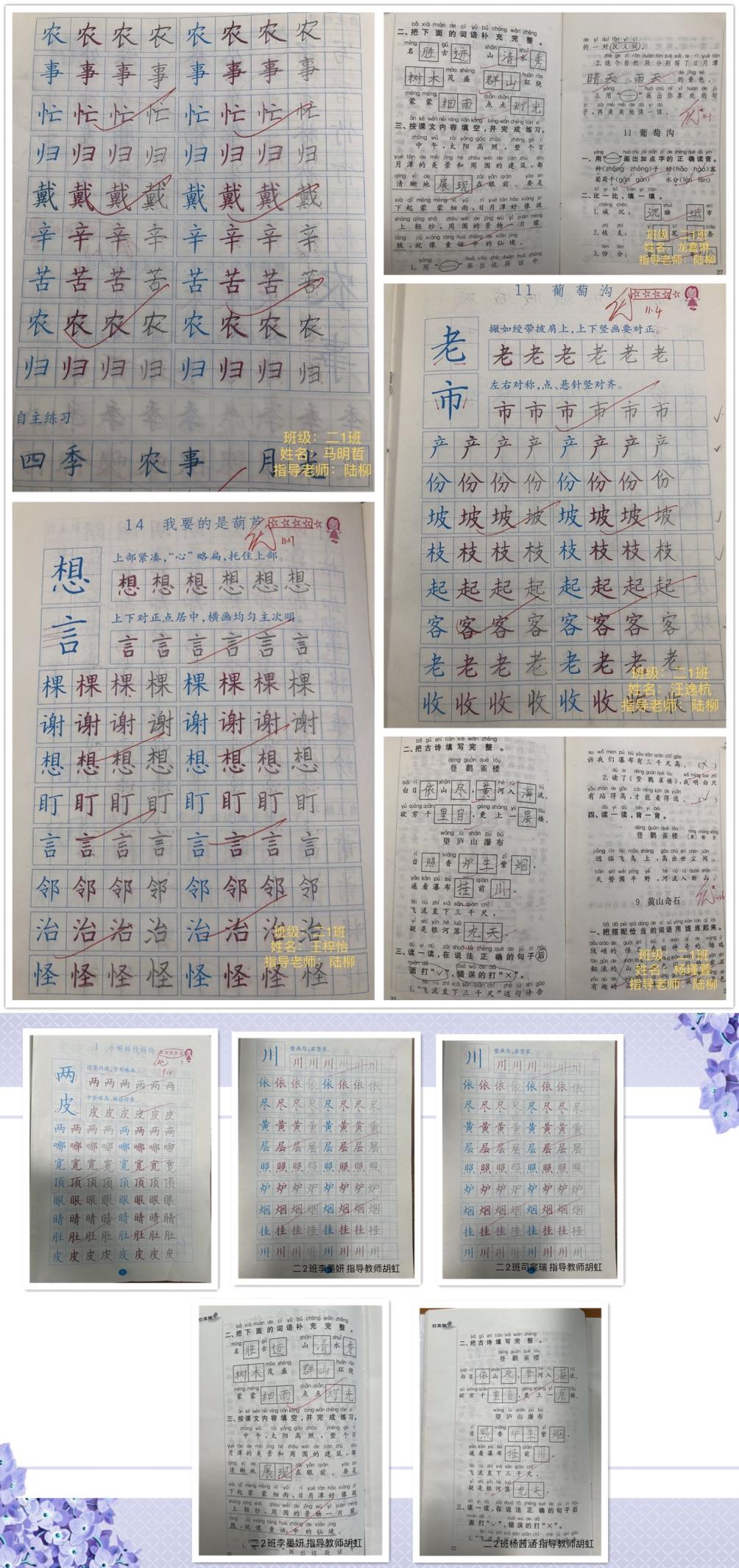 送你一朵丁香花线上赏花活动（语文篇）_html_m771ad54d.jpg