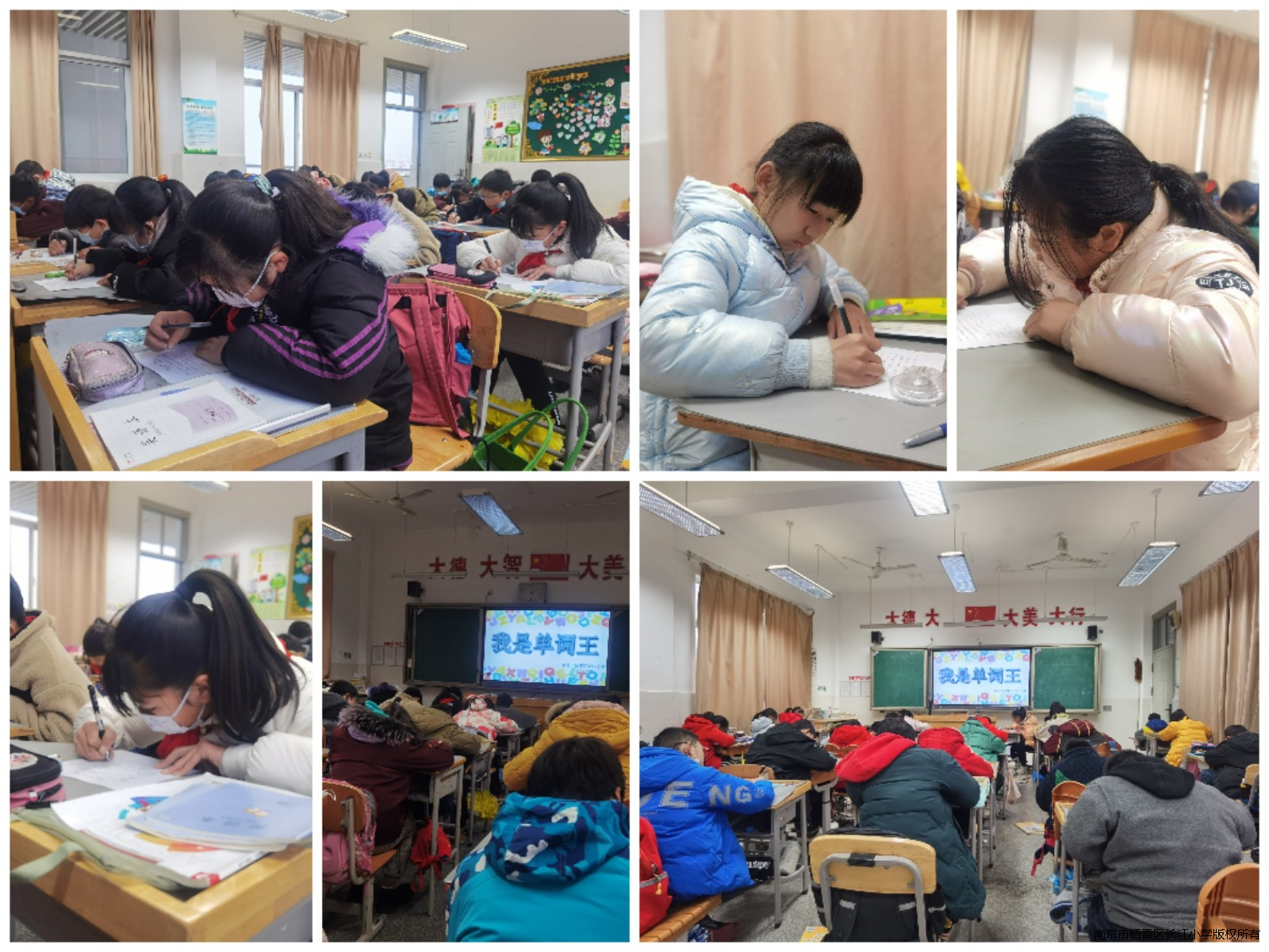 Collage_20230111_132127.jpg