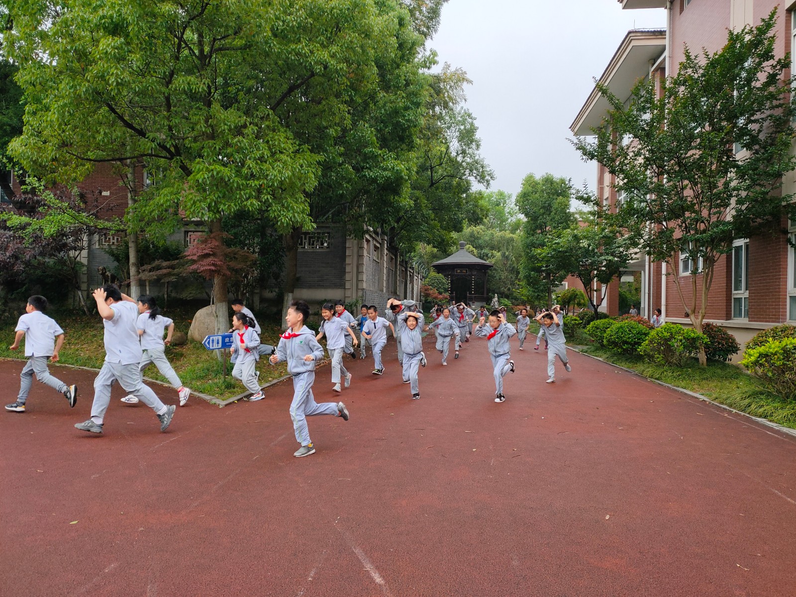 【安全第一】防震减灾  警钟长鸣——记紫金小学防震减灾安全演练