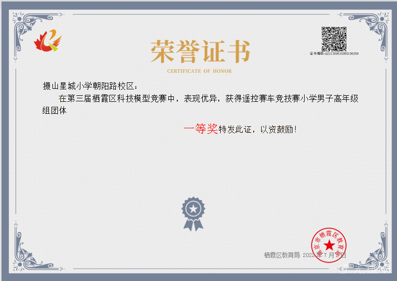 团体证书.jpg
