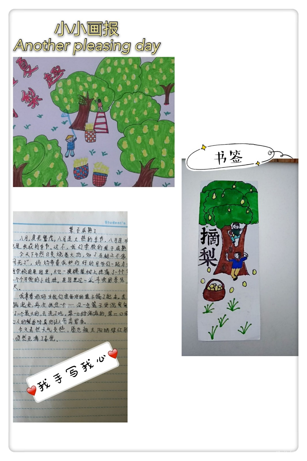 大自然里的教材.jpg