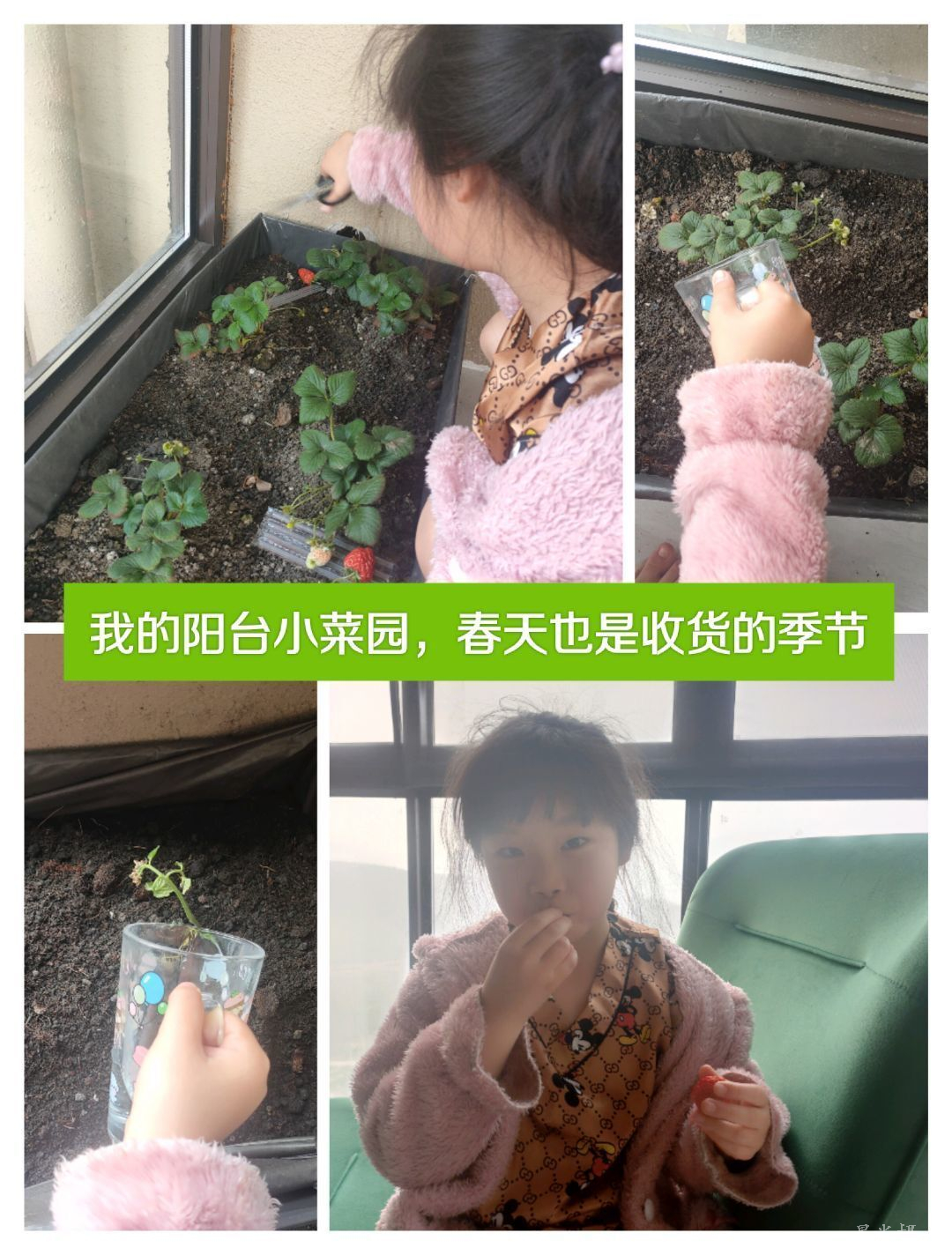 童心扮绿2 (2).jpg