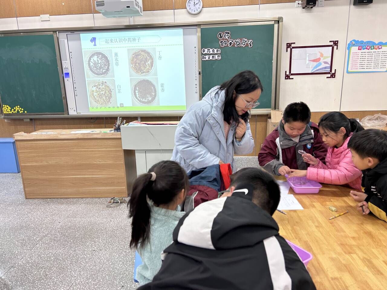 【星光摄小】基于“中草药”主题的项目化学习  ——摄山星城小学天佐路分校科学组校本研修活动（一）