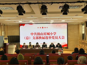 【摄小党建】中共南京市栖霞区摄山星城小学党（总）支部换届选举