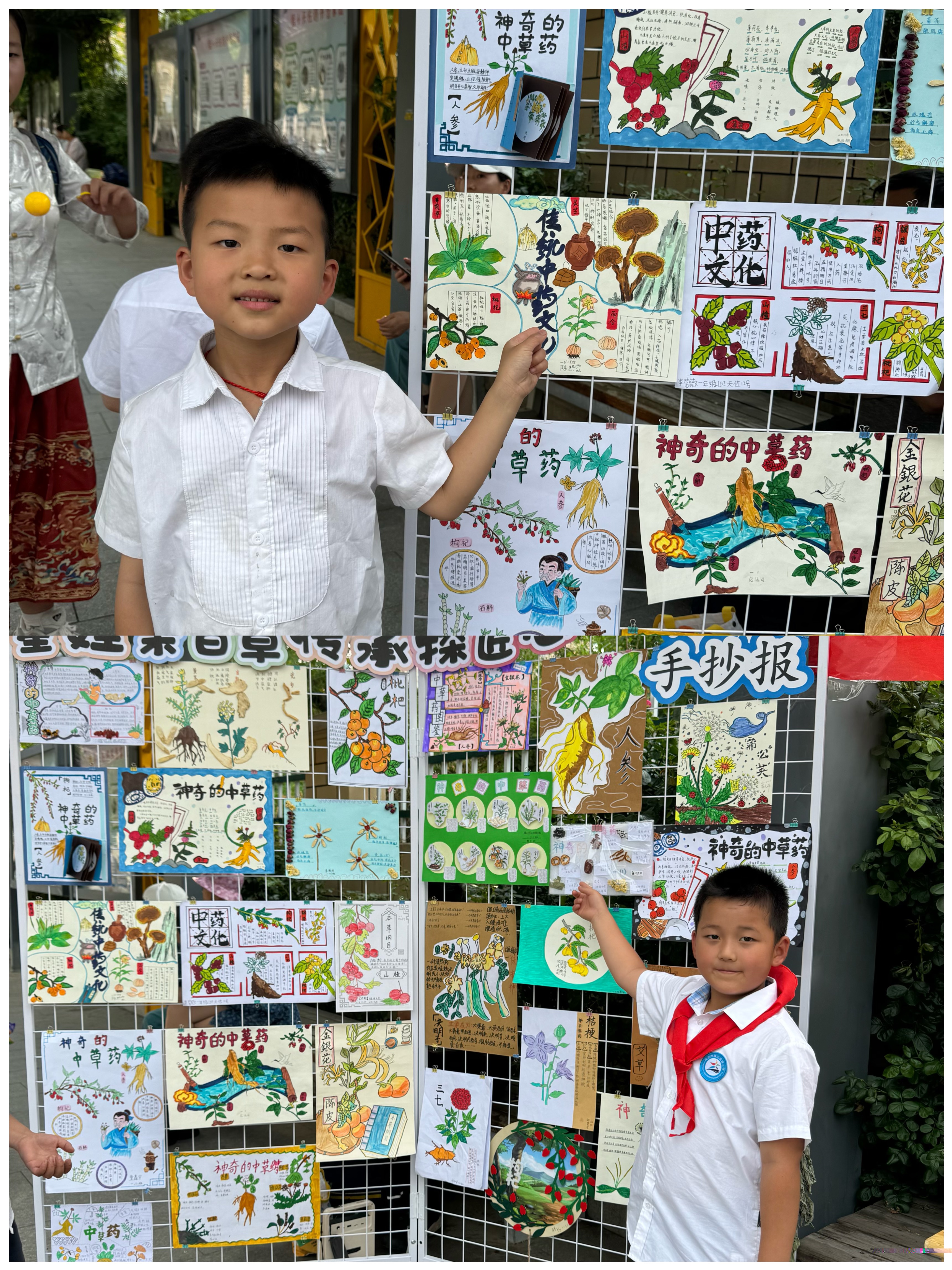 社区作品展示4.png