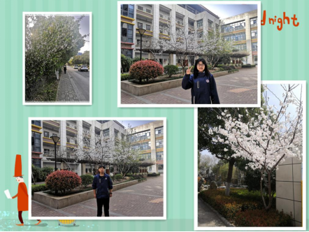 微信图片_20220407000643.png