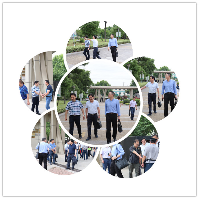 迎接检查.jpg