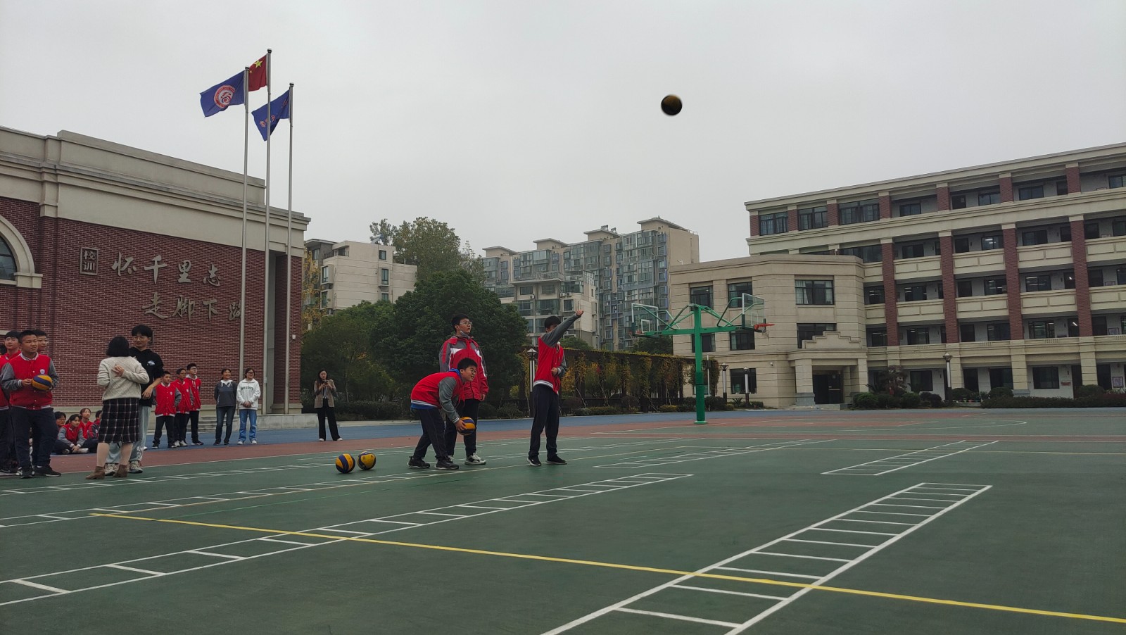 IMG_20221111_085842.jpg