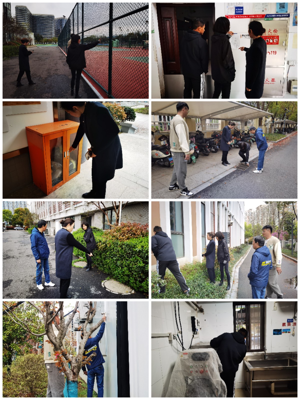 Collage_20240403_160619.jpg