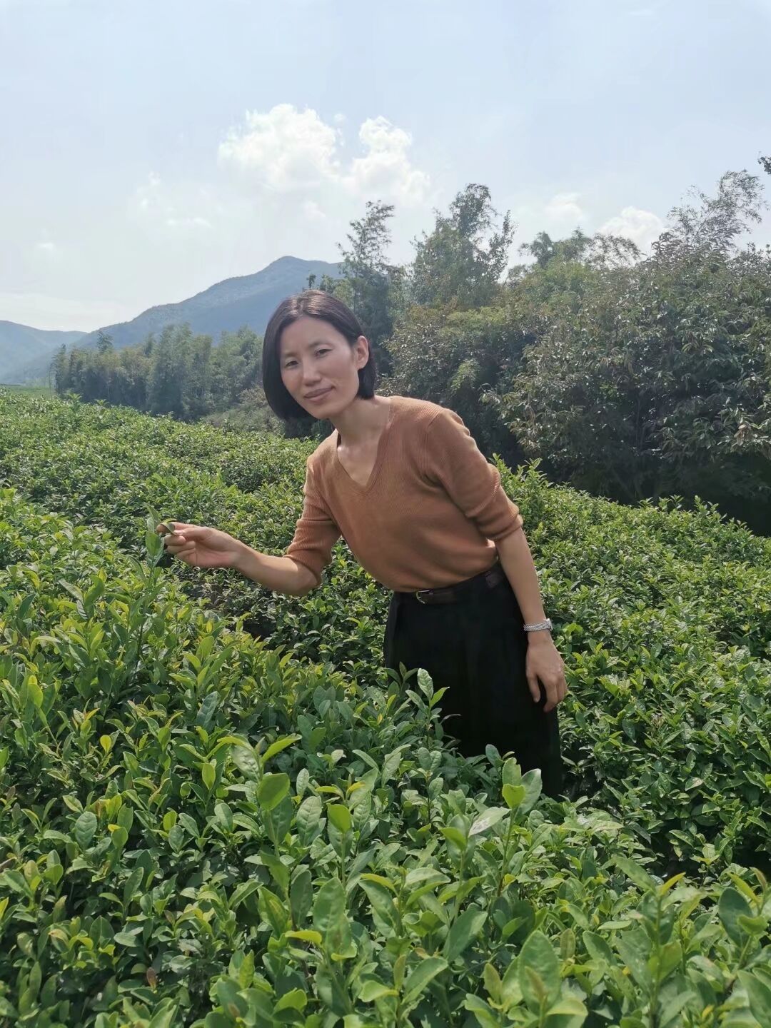 【灵美龙小·龙岸先锋】痴心一片终不悔，只为桃李竞相开   ------张静灵美教师事迹介绍