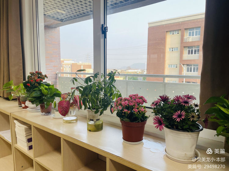 【灵美龙小·德育】春风十里，植此青绿——龙潭中心小学（本部）开展植树节系列活动_html_m2fab488e.jpg