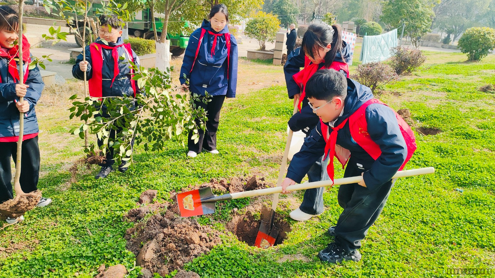  【灵美龙小·江畔】植绿护绿，共绘生态新画卷