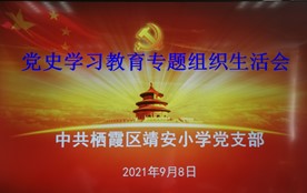 【雅韵先锋】党史学习教育专题组织生活会