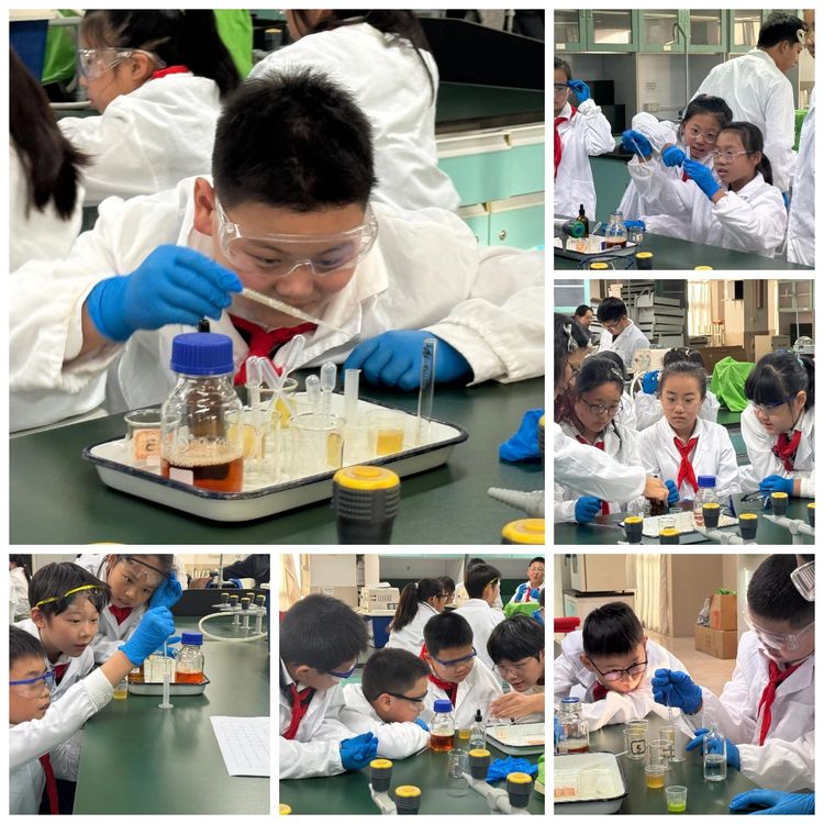 2025.10.22 探秘化工奇趣世界 点燃少年科学梦想——龙潭中心小学开展栖霞“知行”校外社会实践基地活动_html_m2e29f5bb.jpg