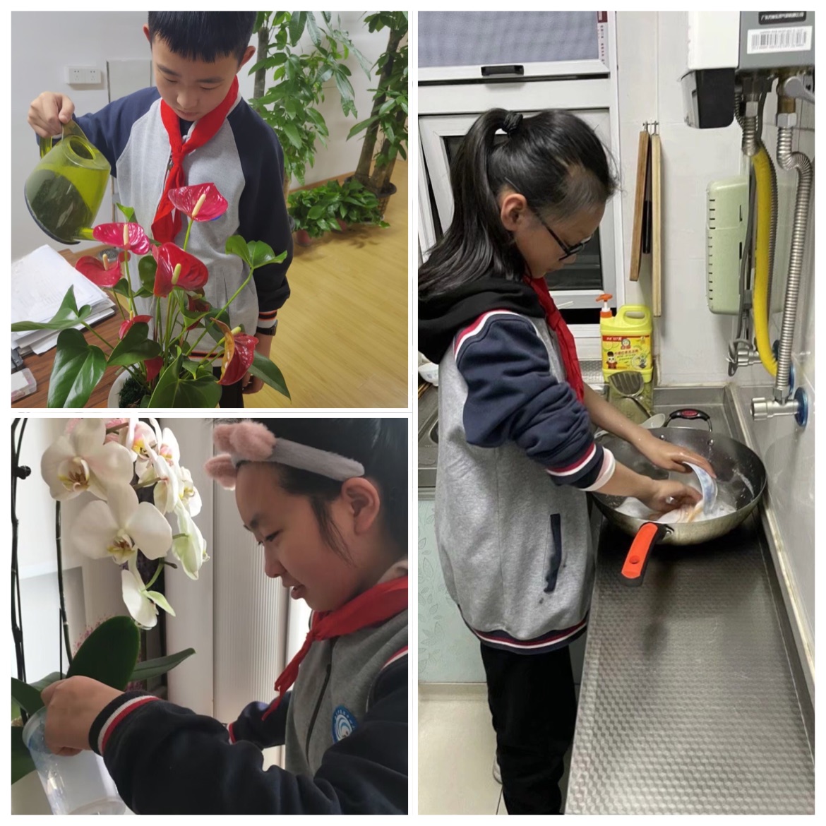 【灵美龙小&middot;龙岸】以“劳”树德，以“劳”育美—龙潭中心小学龙岸花园校区开启“劳动教育周”活动_html_510ddc89.jpg