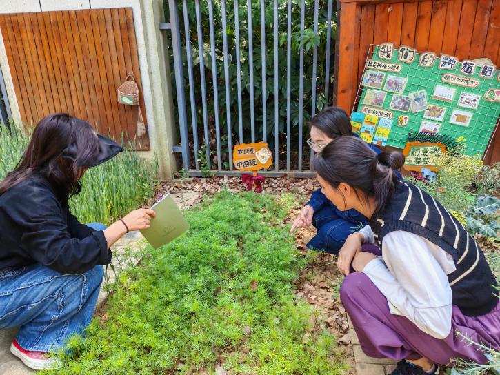 【枫香栖幼】聚焦种植研讨，深耕图册优化  ——栖幼翡翠天域园科学组教研活动