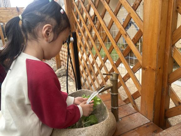 251030霜降添味 食育润心——栖霞幼儿园云栖园十月食融百味活动 陈思琪_html_m60b82748.jpg