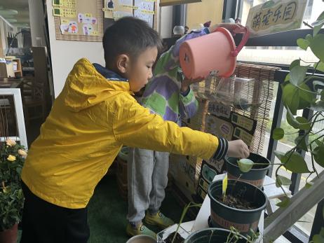 【枫香栖幼】美丽小角落 邂逅大自然 ——栖霞幼儿园石埠湾园自然角评比活动