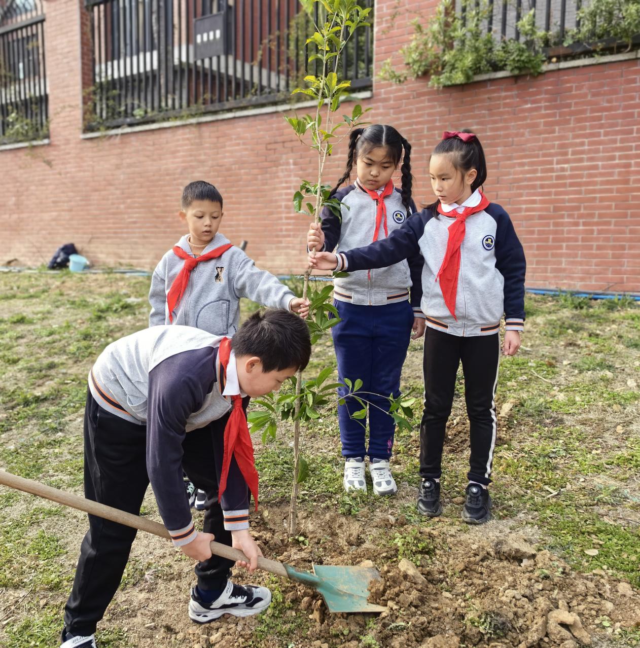 相约春天 共植希望——记金陵小学2024年植树节活动_html_m1a417b7d.jpg