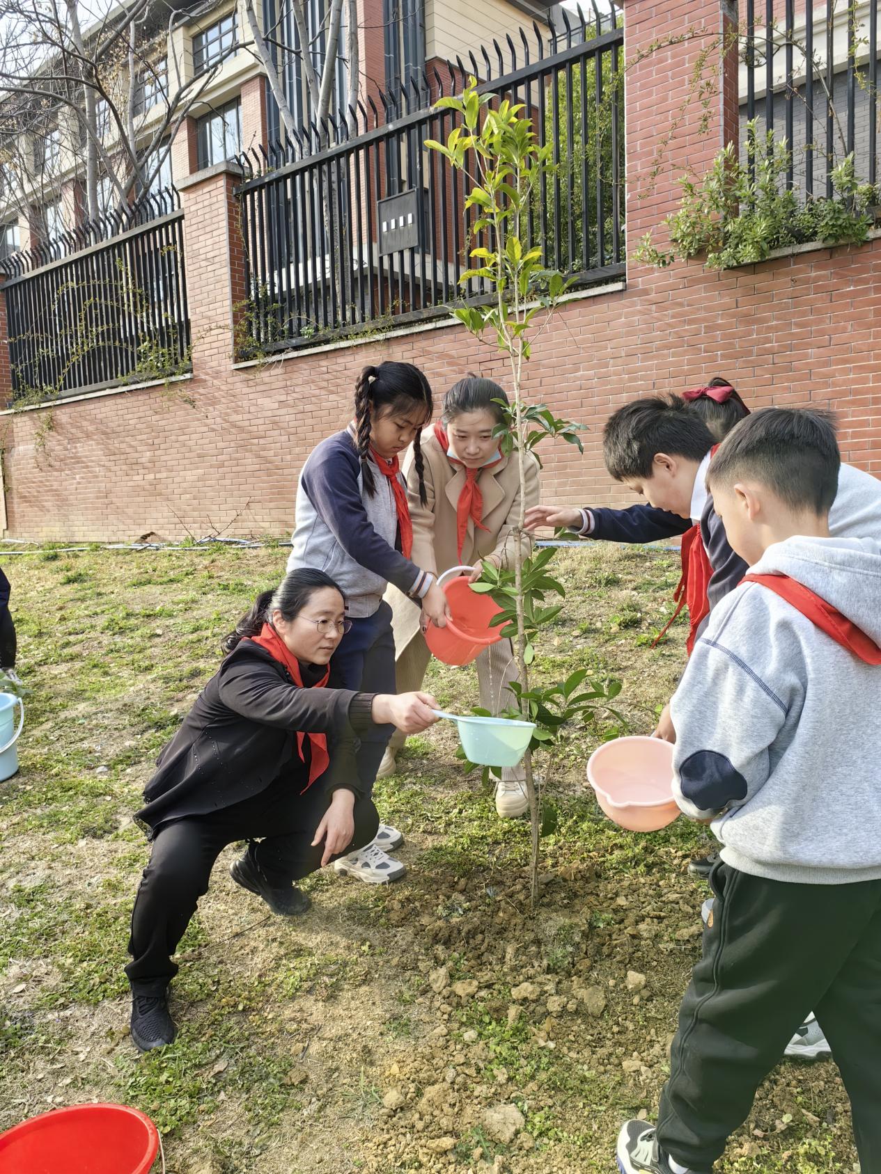 相约春天 共植希望——记金陵小学2024年植树节活动_html_m54c8df8c.jpg