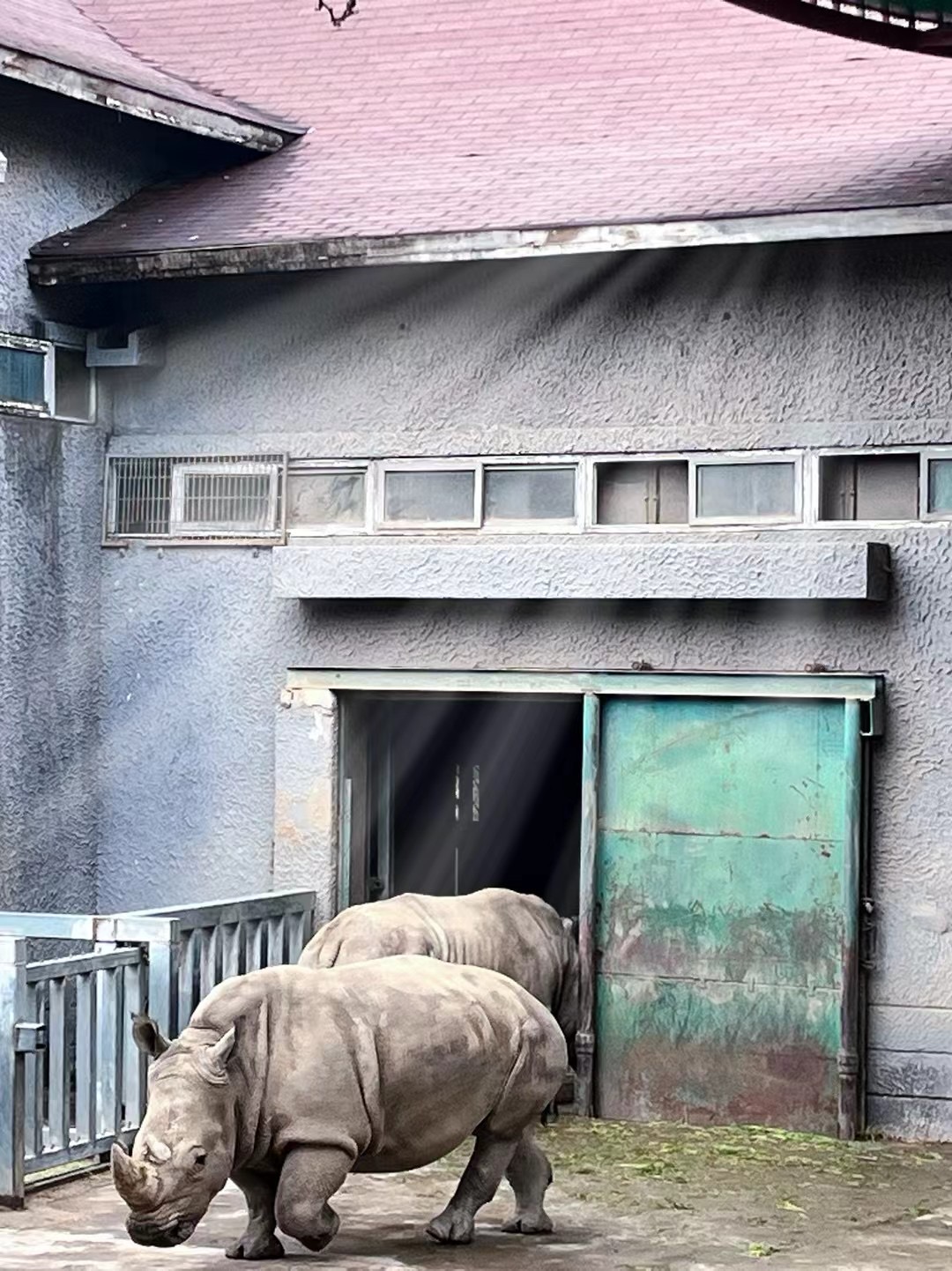【湖畔·学生活动】探秘红山动物园——记金陵小学（仙林湖校区）一年级春季社会实践活动_html_ed72e1a.jpg
