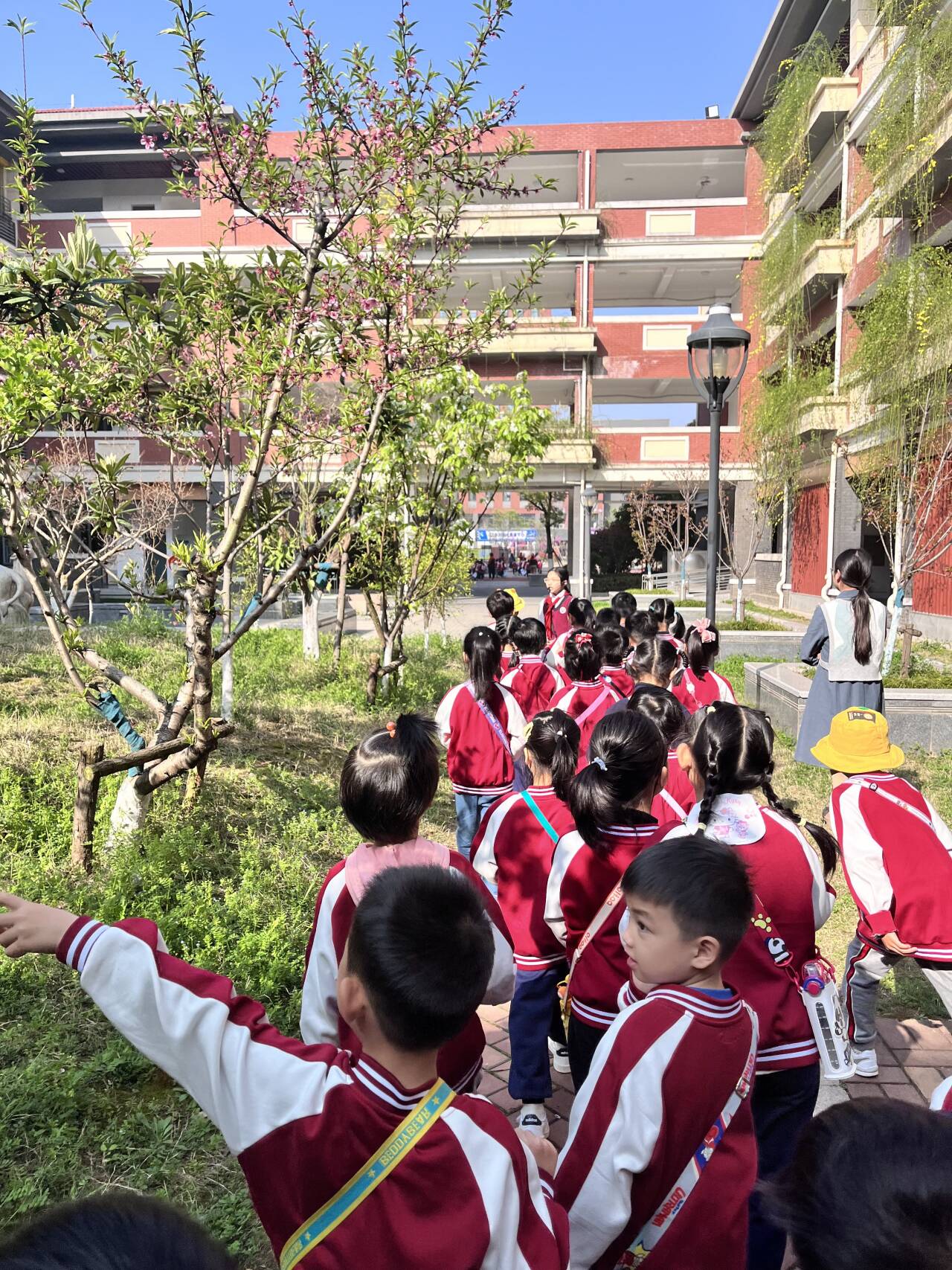 【湖畔·协同育人】幼小有约，衔接成长——金陵小学（仙林湖校区）与幼儿园幼小科学衔接交流活动_html_m111b4cfa.jpg