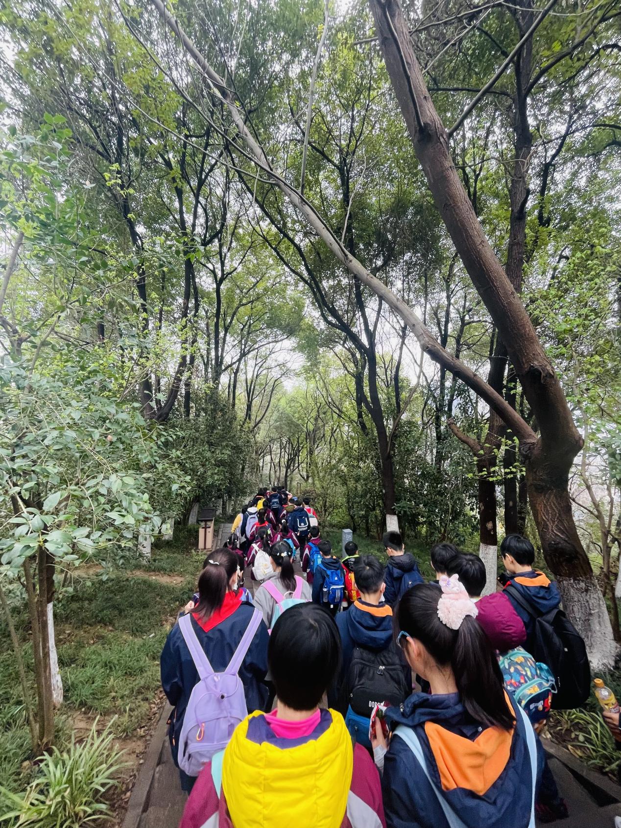 【湖畔·学生活动】探寻中华历史，传承爱国精神——金陵小学（仙林湖校区）2023-2024学年第二学期五年级春季研活动_html_m6aa9e6b4.jpg