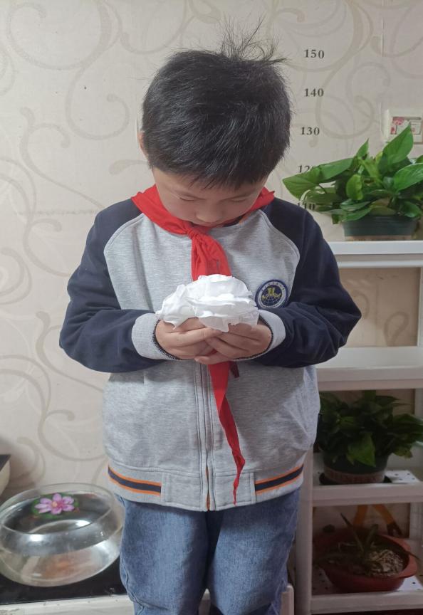 【博学广志】清明云祭扫 丰碑励童心——金陵小学广志路校区清明节云端祭扫活动(1)_html_m23f2a295.jpg