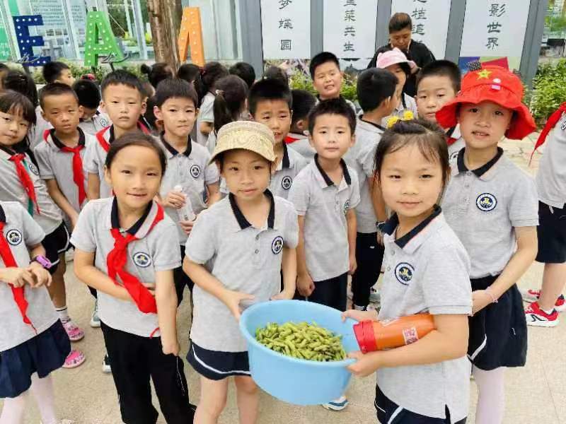 【湖畔·学生活动】创新实践在自然 劳动研学促成长——栖霞区劳动教育月金陵小学（仙林湖校区）生态园研学活动_html_m583a6cd5.jpg