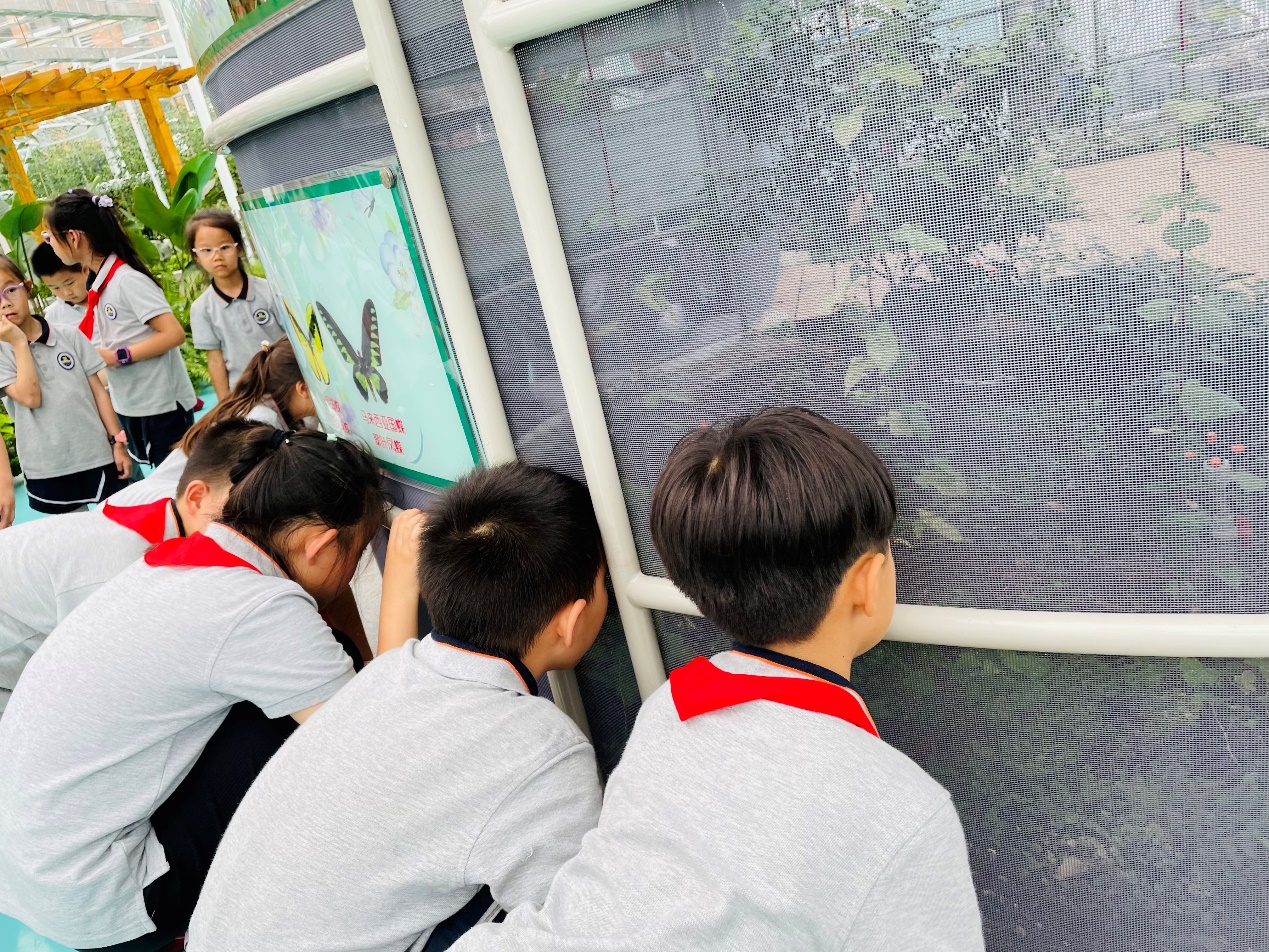 【湖畔·学生活动】创新实践在自然 劳动研学促成长——栖霞区劳动教育月金陵小学（仙林湖校区）生态园研学活动_html_688f7f5a.jpg