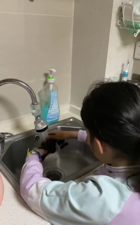 【博学广志】劳动创造美好 成长如期而至——记金陵小学广志路校区二年级劳动教育实践活动_html_5c3d092b.png