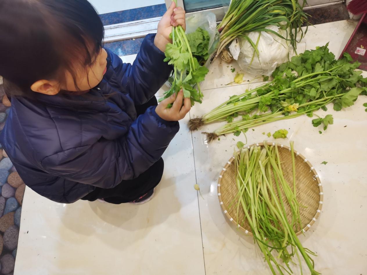 【博学广志】劳动创造美好 成长如期而至——记金陵小学广志路校区二年级劳动教育实践活动_html_5d186c8a.jpg