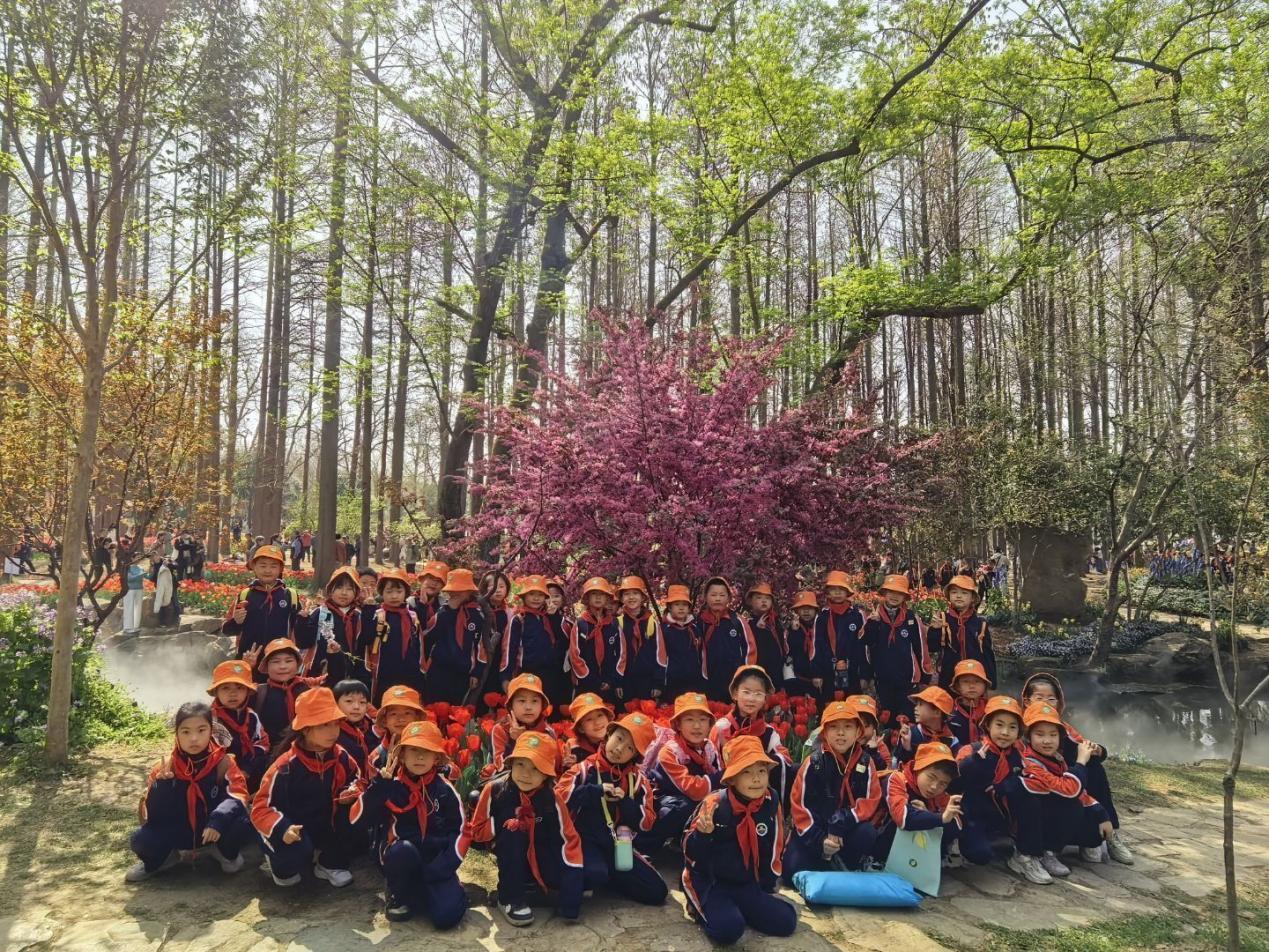 【湖畔·学生活动】童心探秘自然，共绘春日画卷——金陵小学（仙林湖校区）二年级春季综合实践活动_html_637b4fe2.jpg