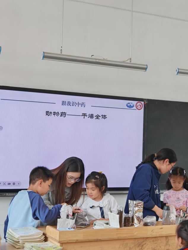 【博学广志】百草润童心 药香满校园——南京中医药大学科普讲座进校园_html_m6d8b6955.jpg